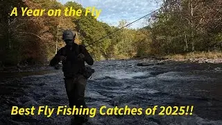 A Year on the Fly | Best Fly Fishing Catches of 2025!!