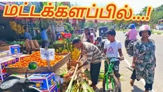 மந்த நிலையில் தைப்பொங்கல் வியாபாரம்!