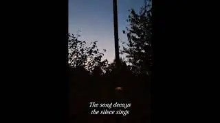 The Ebenor - Roses of Obsidian (Official Videolyrics)