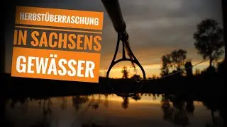 Karpfenangeln an Sachsens Gew&auml;sser