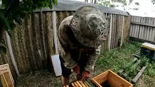 Воспиталки, отводки, классный инкубатор.