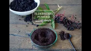 Elderberry powder recipe (and 15 ways to use it)