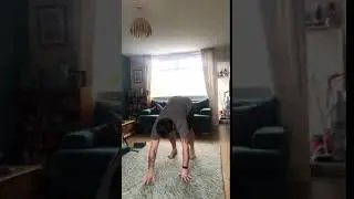 Walk Out Exercise