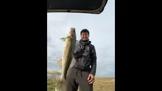North Dakota walleye Adventures! (Devils lakes and Missouri River Fall Bite)