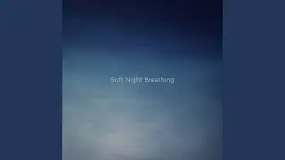 Silent Sleep Path