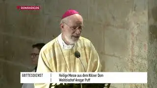 Weihbischof Ansgar Puff über Lk 8,4-15. Predigt vom 17.09.2022