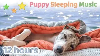 ☆ 12 HOURS ☆ Puppy Sleeping Music + OCEAN sounds 🌊 ♫ Dog Sleep Music 🐶 Relaxing dog music ☆