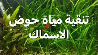 تنقية مياة حوض الاسماك وجعلها كريستالية
