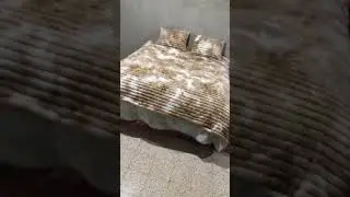 قنبلة الموسم محلات رحيم للافرشة بشلف ڨراج سليماني 💥 متراطوش فيديو