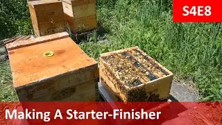 Making a Starter-Finisher For Grafting Queens.
