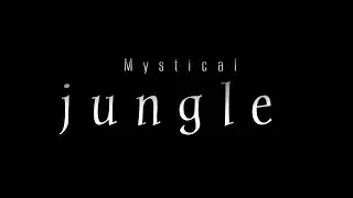 Mystical Jungle horror Short Film by Speedy Brothers'/Suspense/Thrill