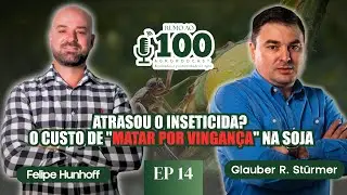 Manejo de Pragas: O erro de matar por vingan&ccedil;a e a rentabilidade | Glauber Sturmer - Rumo ao 100 #14