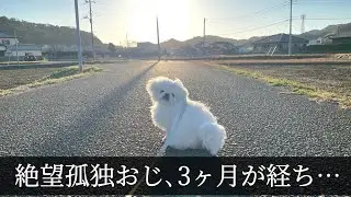 絶望孤独おじ、ぺきおと3ヶ月が経ち…