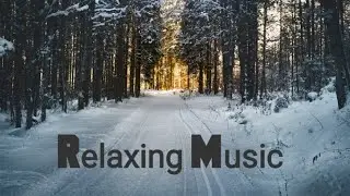 Relaxing Snowfall Theme | Pupstoria Pet TV
