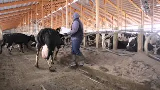 Tubergen Dairy Farm