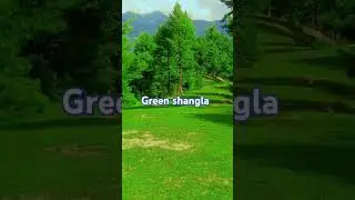 green shangla