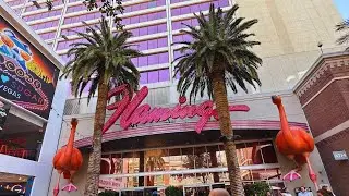Flamingo Hotel || Flamingo Wildlife Habitat || Las Vegas Hotel
