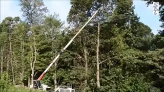 Right-of-Way Maintenance