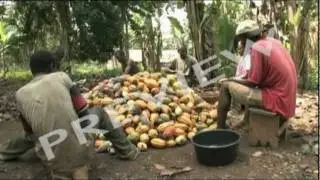 Sources Of Finance: Divine Chocolate