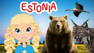 Discover Estonia&rsquo;s Amazing Wildlife! 🦊🐻 Fun Learning for Kids!