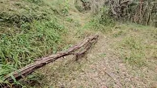 The Secret Yowie Bigfoot Track Pt2