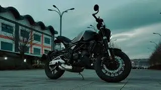 Regal Raptor | Shark 250