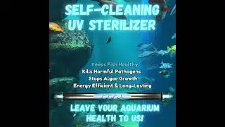 Self-Cleaning UV Sterilizer.