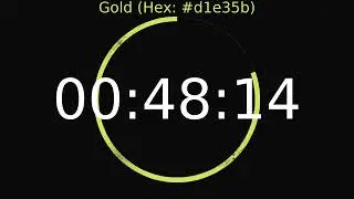 1 Hour Timer | Gold Colour