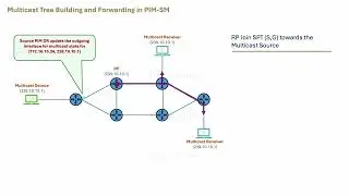 Understanding IP Multicast: Multicast Tree Building and Forwarding in PIM-SM