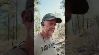 Beautiful Day in Lakeside Az Scouting for Elk