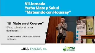 El Mate en el Cuerpo, Jornada Yerba Mate y Salud en la UBA