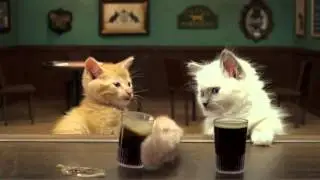Jake O'Connor's 