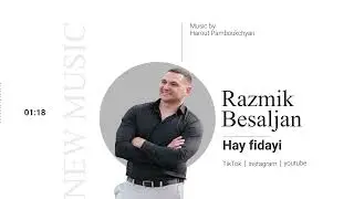 Razmik Besaljan - Hay fidayi