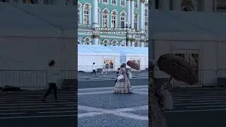 развод в Питере 