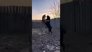 Leopard vs Rottweiler: An Intense Face-Off You Won&rsquo;t Believe! 🐆🐕