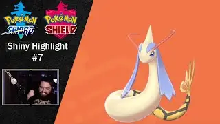 SHINY MILOTIC Highlight - 2464 Encounters in the Wild Area! - Pokemon Sword and Shield