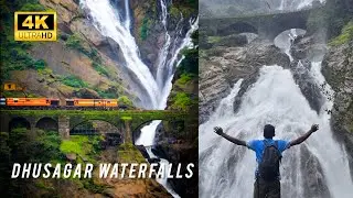 DHUSAGAR WATERFALLS TREKKING #viral #travel #nature #shorts #shortvideo #viralvideo 