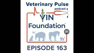 Dr. Jim Clark shares his multifaceted veterinary career path with relatable insights into learnin...