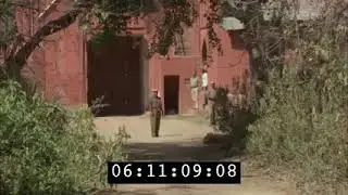 Guards close encounter with Tiger ranthambore #tiger #ranthambore #forest