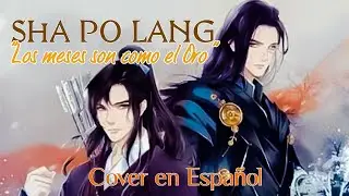 Sha Po Lang 杀破狼, 