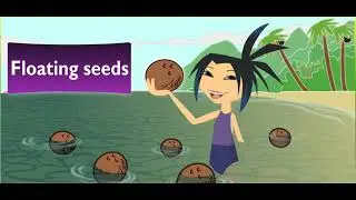 Scholastic - Study Jams - Plant Adaptations