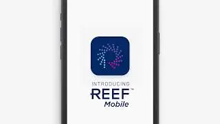Introducing REEF Mobile: A Contactless, Frictionless Parking App