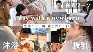 【新生児】１日のルーティン👶🏻🎀☀️幸せな生活🤍