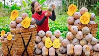 Harvesting Pumpkin Garden Goes To The Market Sell - Tips Vegetable garden care - Han Harvesting