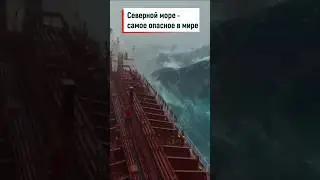 Северное море - самое опасное #shorts #море #стихия #интересно