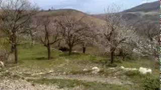 Malatya Akcadag Sarıhacı