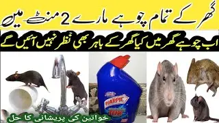 Get Rid Of Mouse| Chuhe Bhagany Ka Gharelu Tarika | Cockroach Killer | Get Rid Of Lizarad |Cleaning 