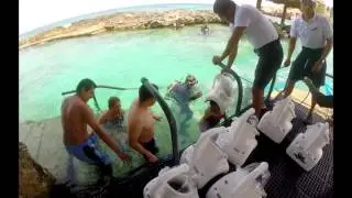 Xcaret Sea TREK &mdash; World's Largest Operation