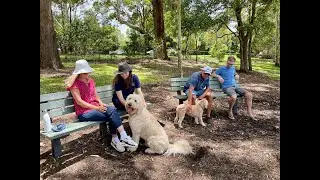 Have your say on the future of our dog exercise areas