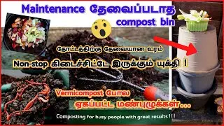 செடி வைக்கும் தொட்டி இருக்கா? Compost உரம் Non-stop கிடைக்கும்/maintenance இல்லை/மண்புழுக்கள் ஏராளம்